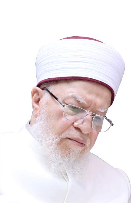 الشيخ العلامة محمد عوامة